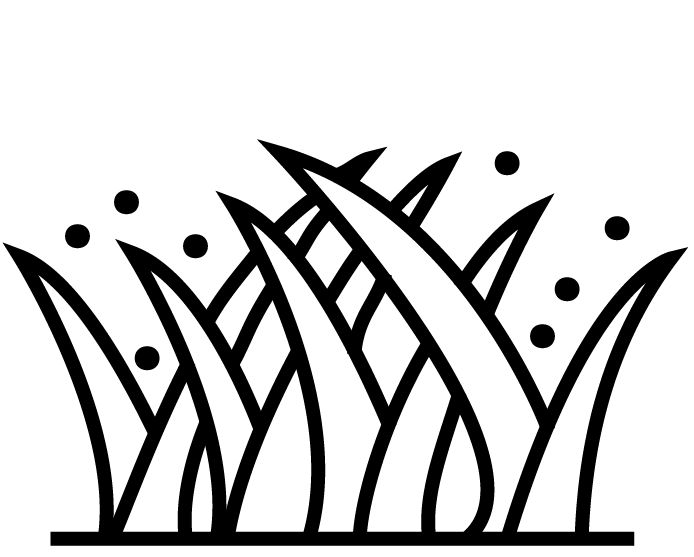 nieuwsbegrip