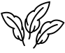 pluimen