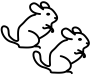 knaagdiertjes