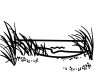 duinlandschap