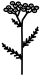 duizendblad
