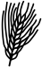 aar
