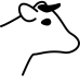koeienkop