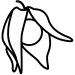 vrucht
