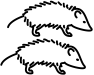 vachtdragers