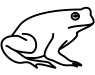 paddenmoeder