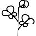 vlinderbloemige